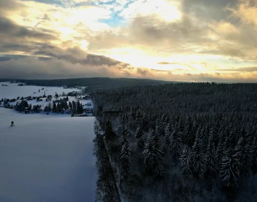 DJI 0171